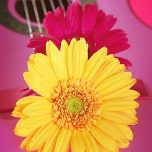 Meet your Posher, Jen